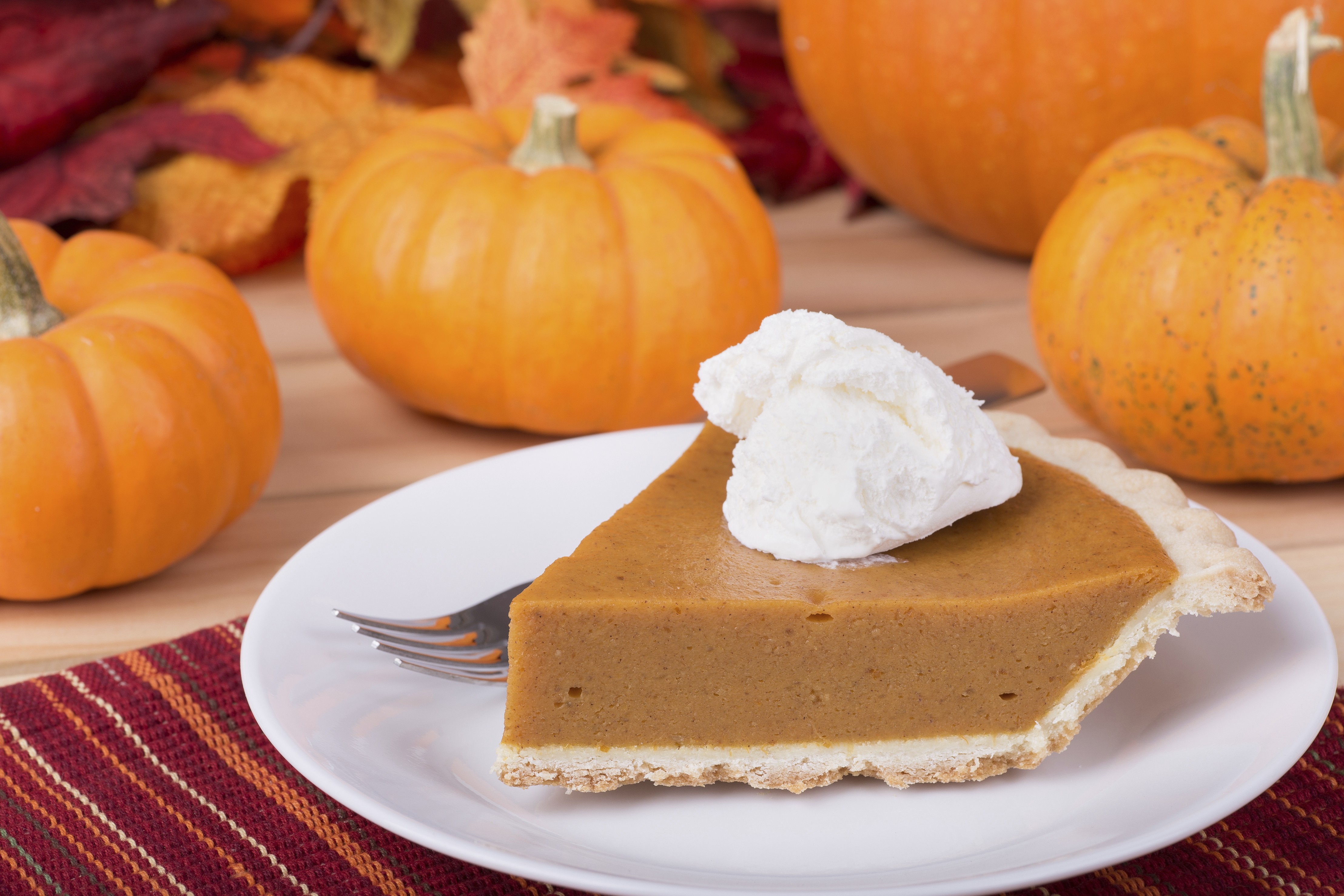 A slice of pumpkin pie on a plate in front of four pumpkins