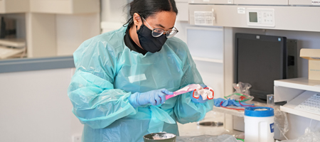 Dental Assistant Student making a dental mold