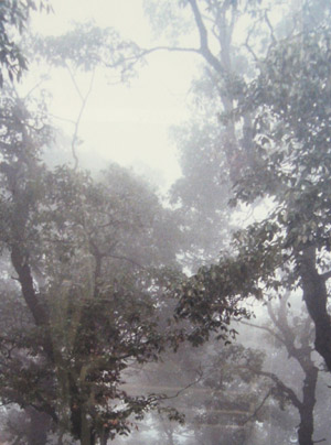 After the Rain